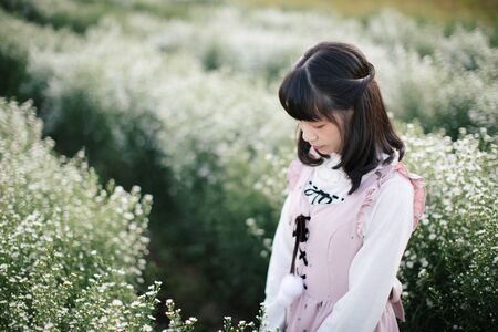 和漢植物エキスを活かした日本発エイジングケアコスメの魅力