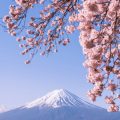 日本の季節ごとにおすすめしたいヘアケア製品と注意点