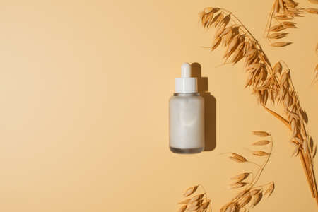 秋の夜長、美容液・クリームの使い分け徹底解説