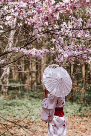 日本の季節と睡眠リズム:梅雨、夏、冬の肌トラブル対策